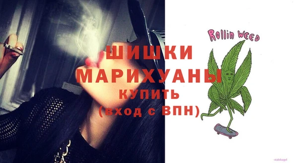 шишки Балабаново