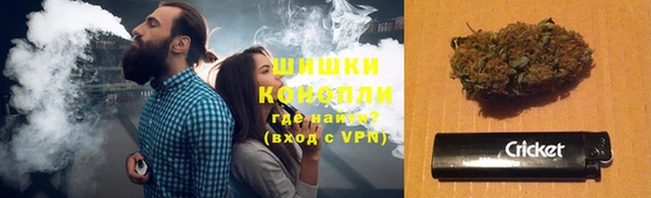 шишки Балабаново