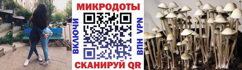 MEGA рабочий сайт  цена   Удачный  Галлюциногенные грибы ЛСД 
